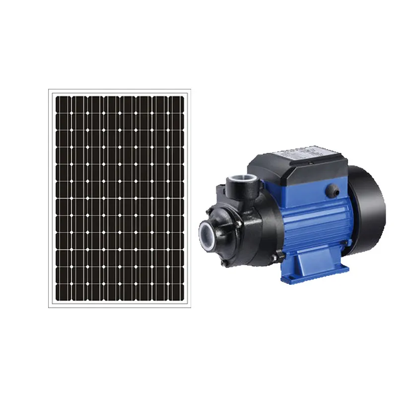 for 12V 24V Brushed Solar Pool - огляд і ціна Solar Irrigation Pump 12V